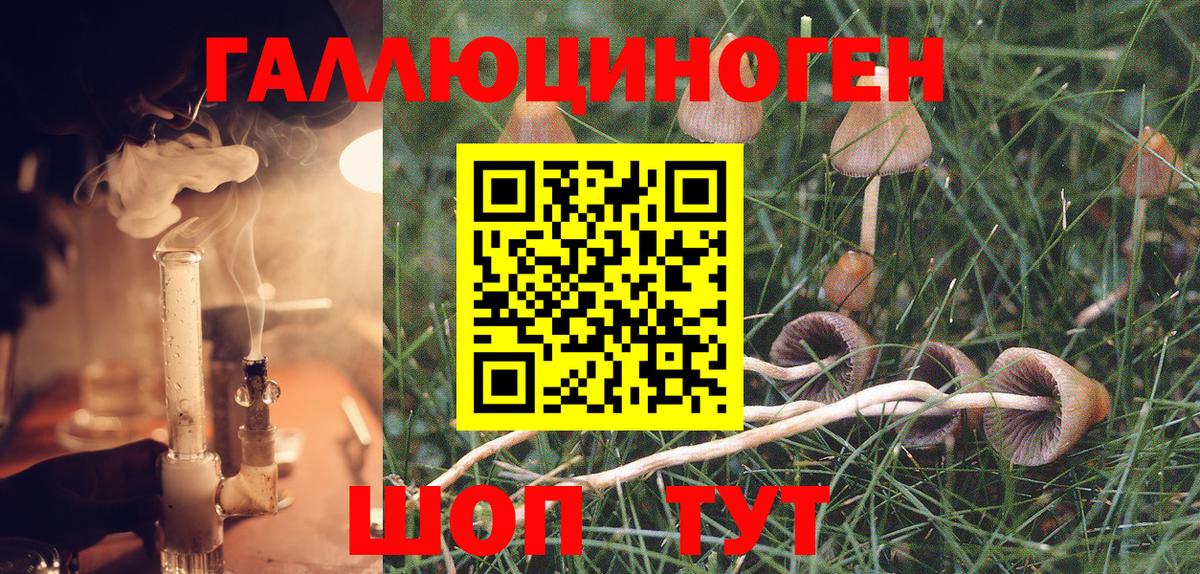 Галлюциногенные грибы Psilocybe Вязьма