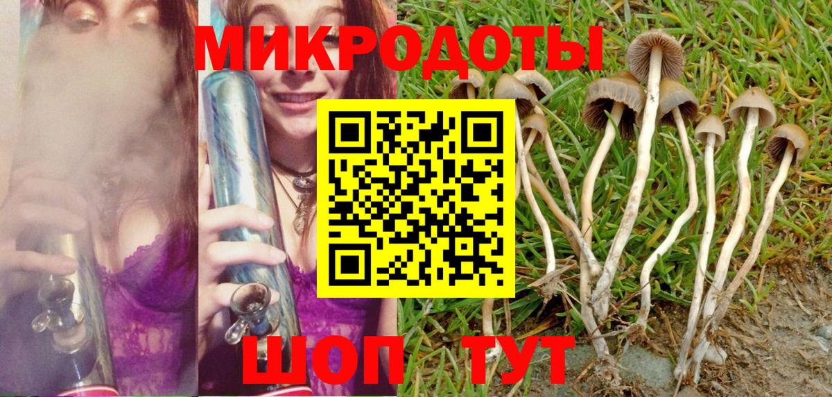 Вязьма  Галлюциногенные грибы Cubensis  Вход с VPN  Галлюциногенные грибы прущие грибы 