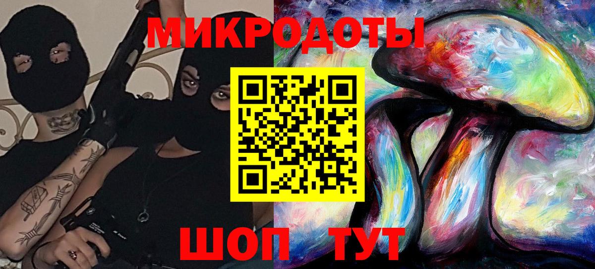 Псилоцибиновые грибы Psilocybe  Вязьма 